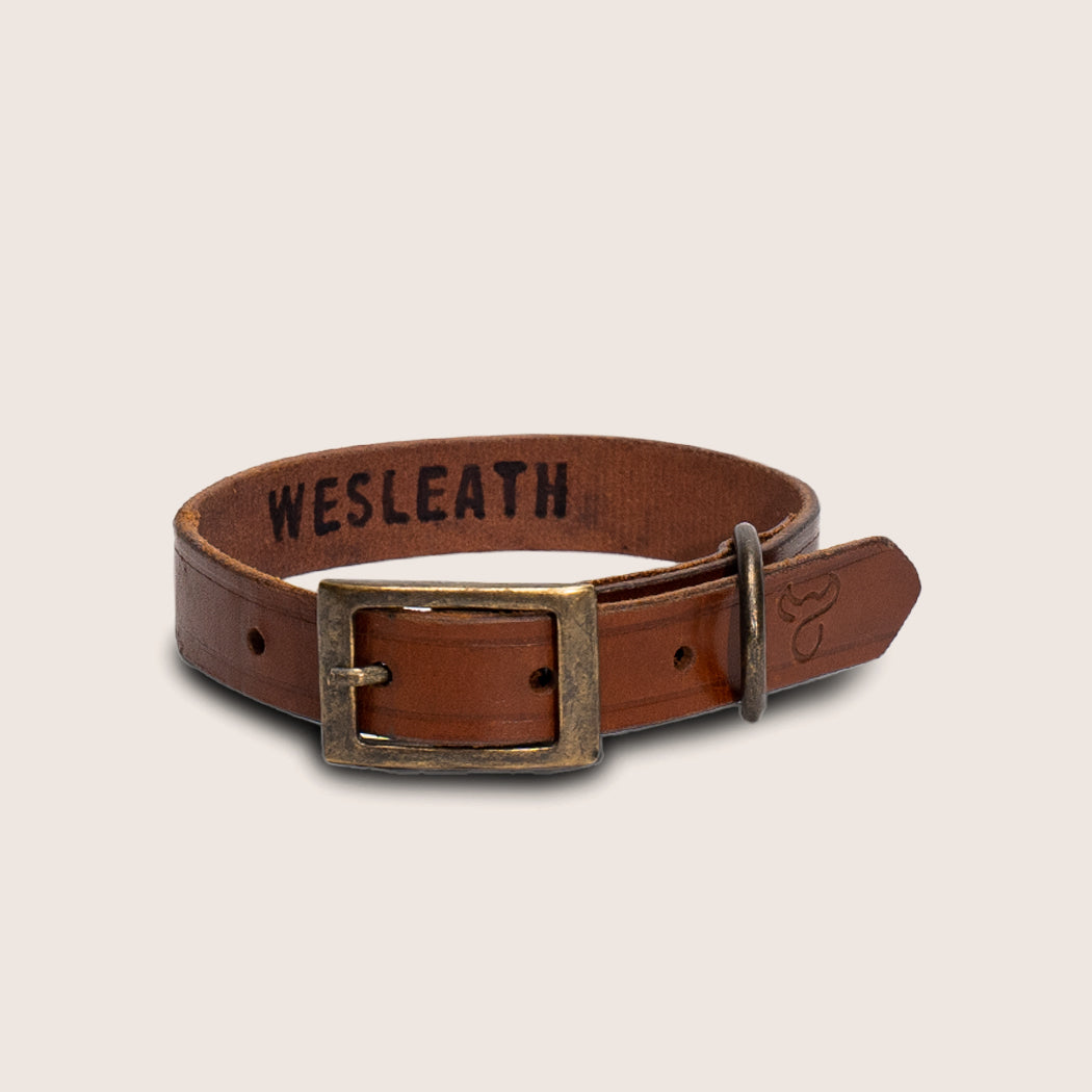 Western belt dog sales collars